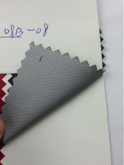 DG-YNSG  長絲提點 08B-08 45度照